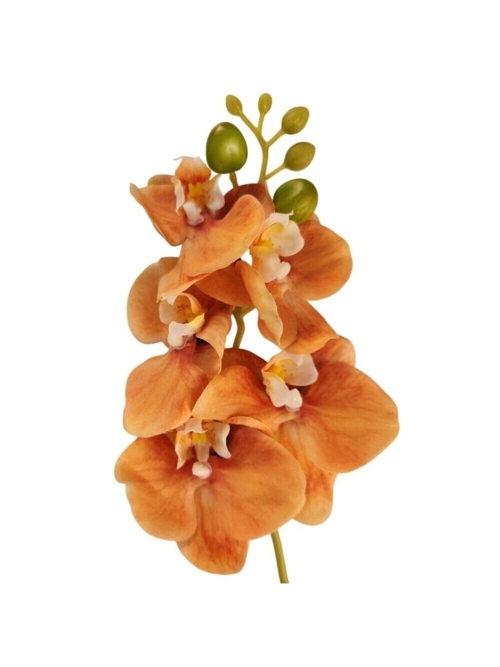 Artificial Orange Orchid Stem | Phalaenopsis Faux Flower | Realistic Silk Orchid